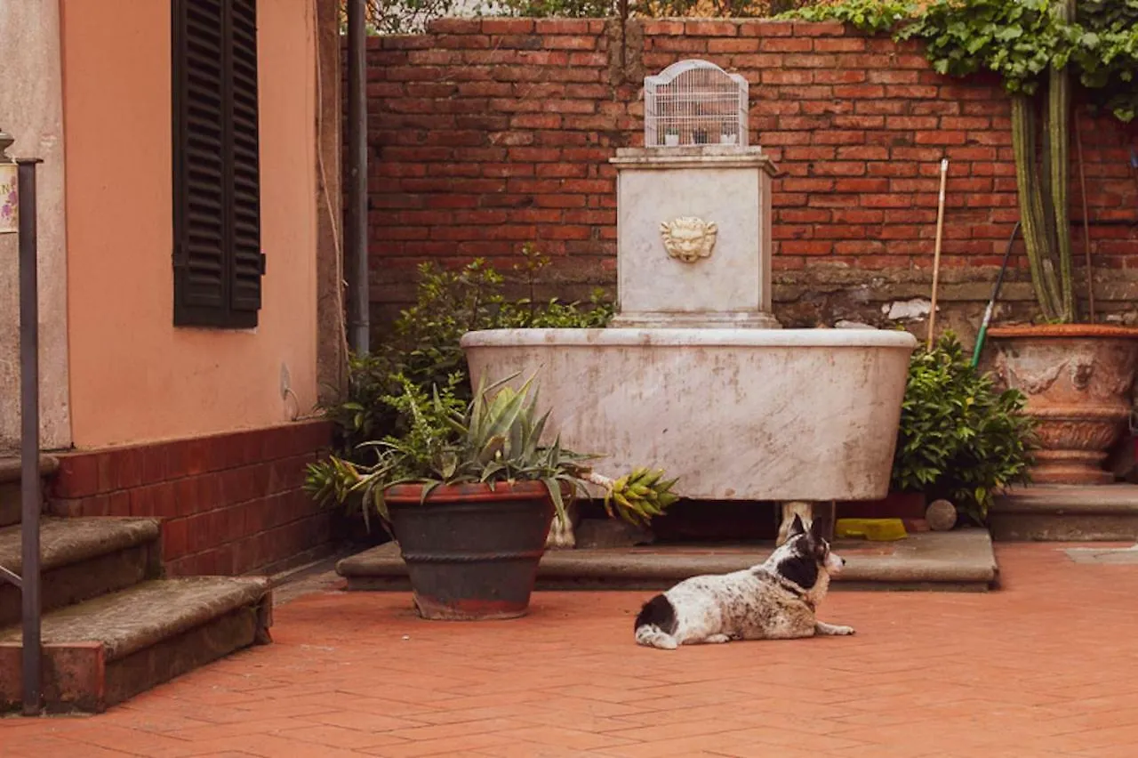 Il Villino Bed & Breakfast Lucca